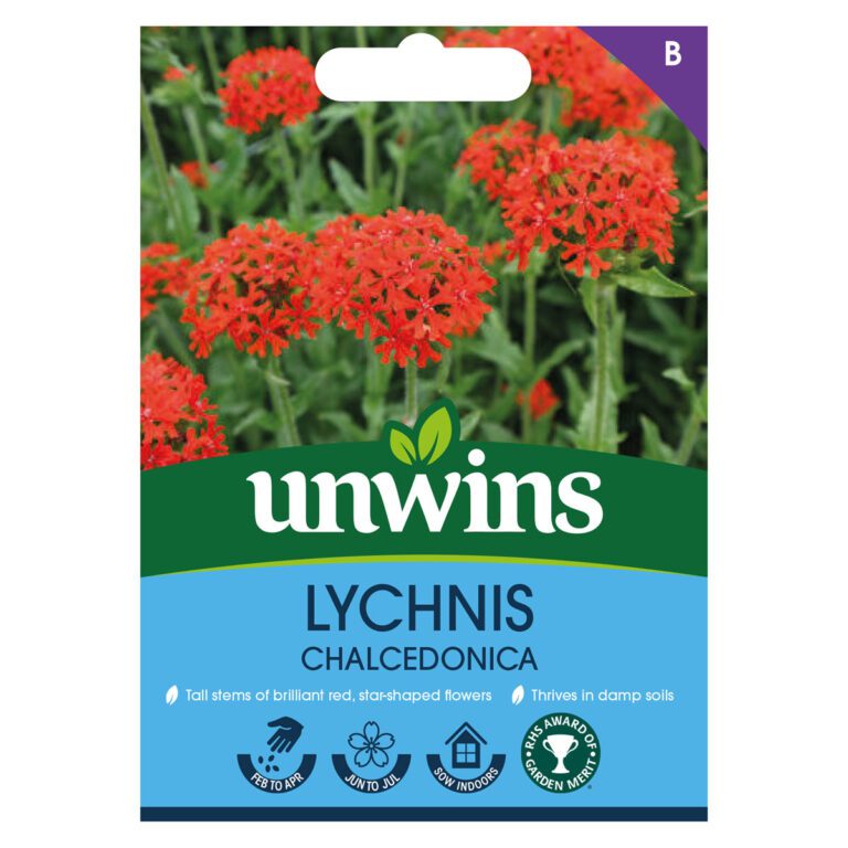 5051618035620 1 Lychnis Chalcedonica Seeds.jpg